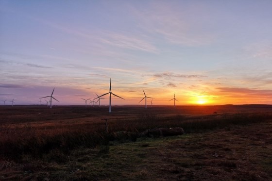 Whitelee_Windfarm_560x373