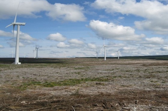 Mark_Hill_Windfarm_560x373