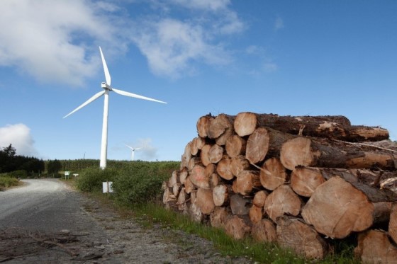 Arecleoch_windfarm_560x373
