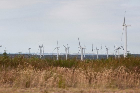 Black_law_windfarm_560x373