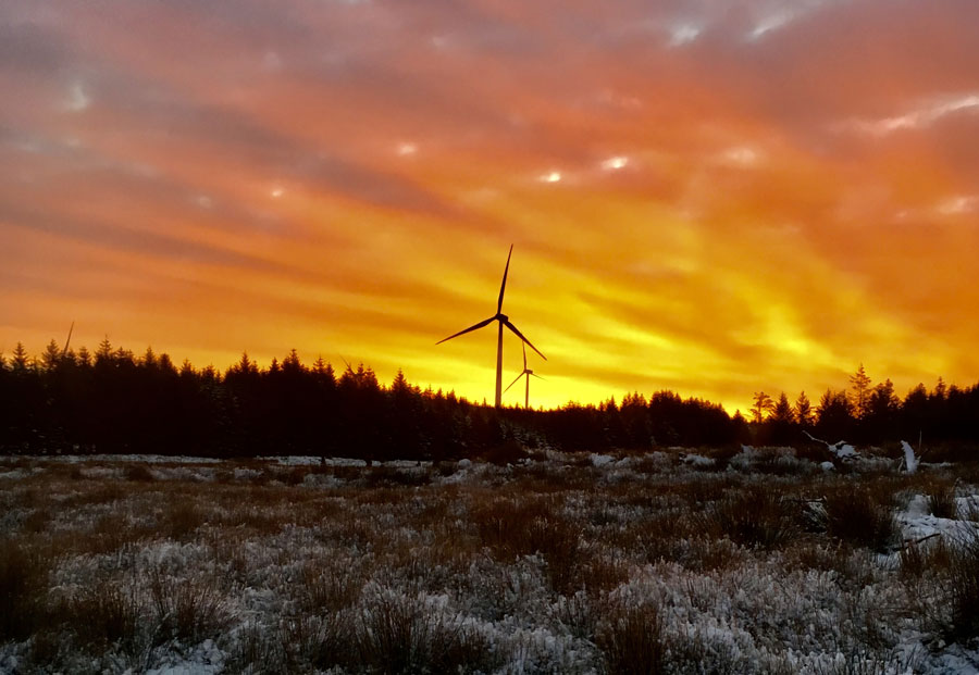 whitelee_windfarm