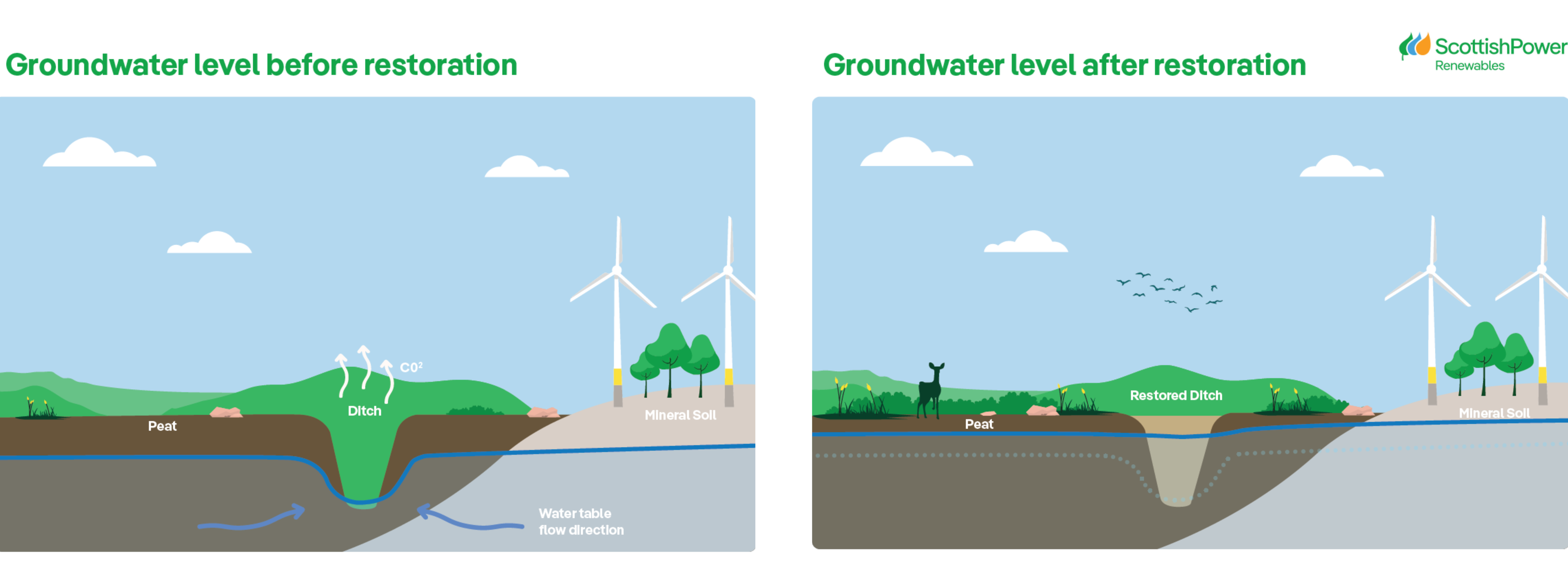 Peatland Restoration