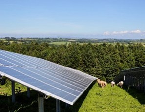 Solar_Farm_1