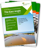 ea_newsletter_winter_2021