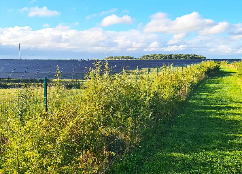 Pollards Solar Farm