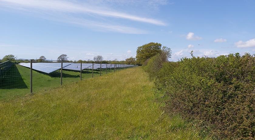 Pollards Solar Farm
