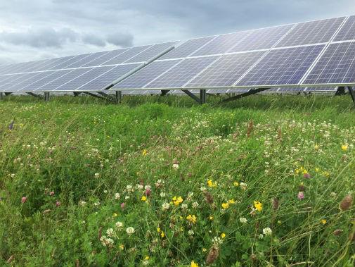 Pollards Solar Farm