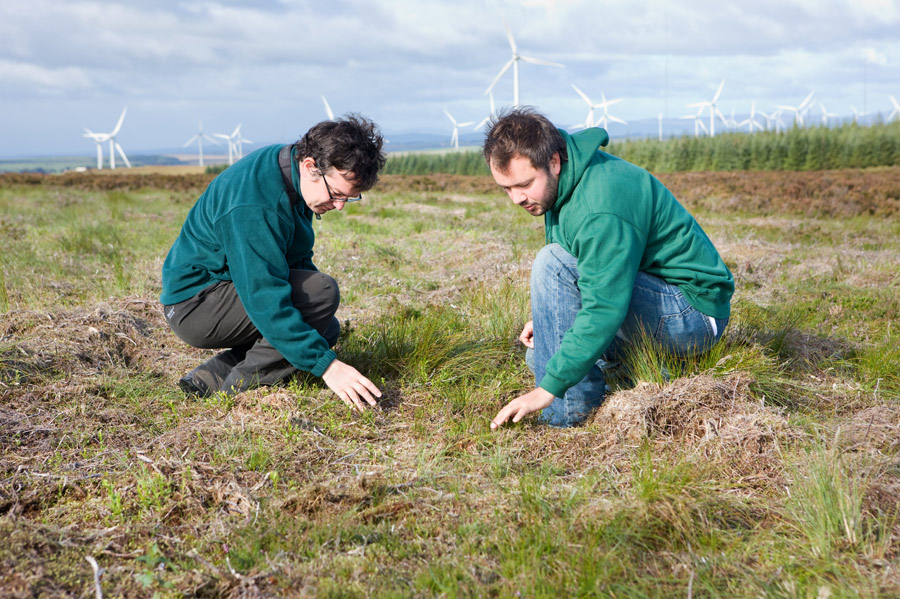 Enhancing the environment